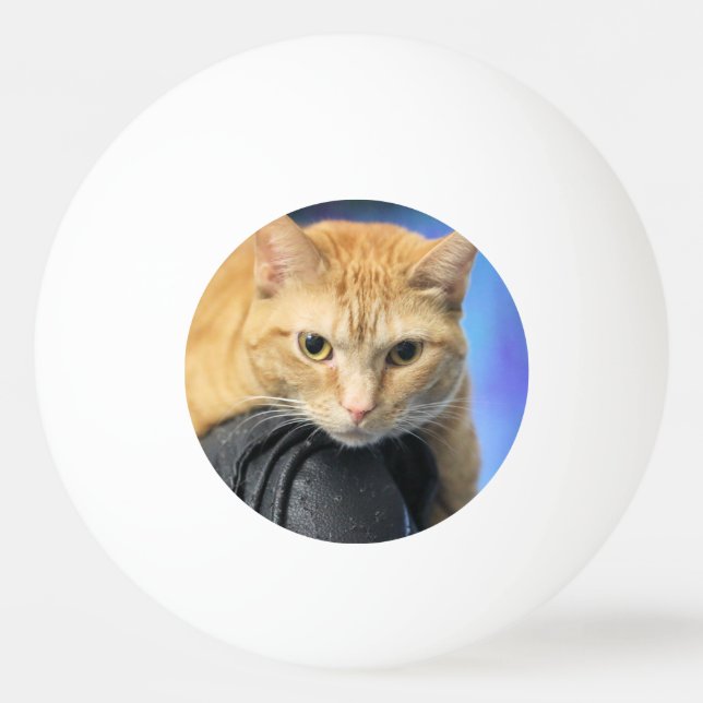 Balle De Ping Pong Catouragan (Devant)