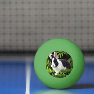 Balle De Ping Pong "Charme classique : le lapin lapin noir et blanc"
