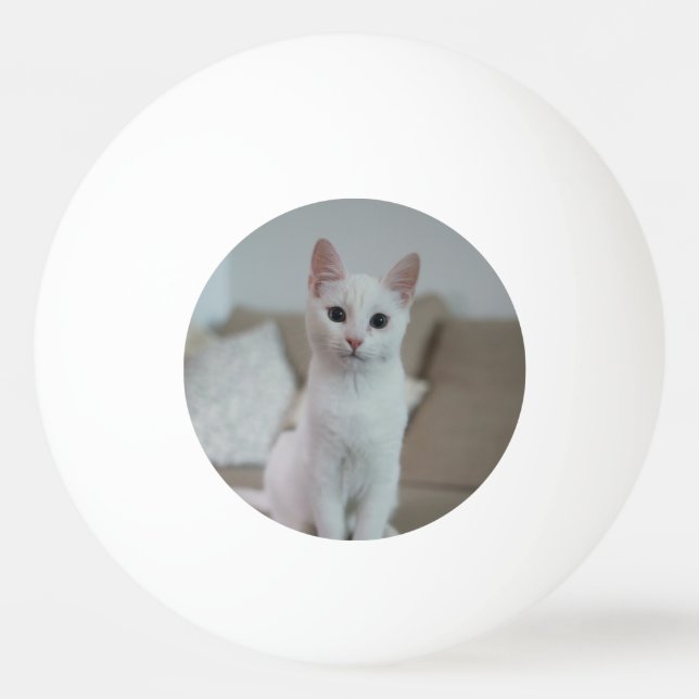 Balle De Ping Pong chat blanc | Zazzle_Growshop. (Devant)
