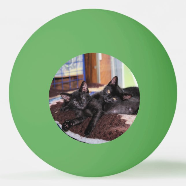 Balle De Ping Pong Chatons (Devant)