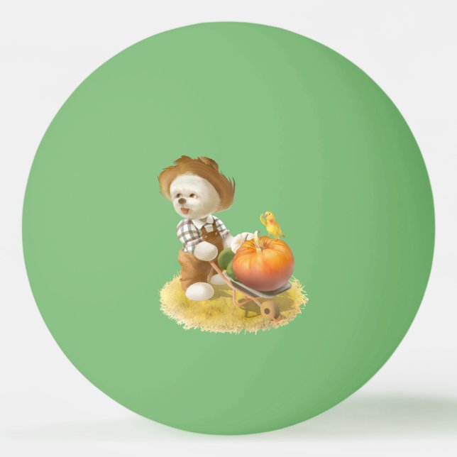 Balle De Ping Pong Cher fermier chien avec Citrouille (Devant)