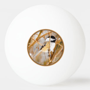 Balle De Ping Pong Chickadee au plafond noir - Photo originale