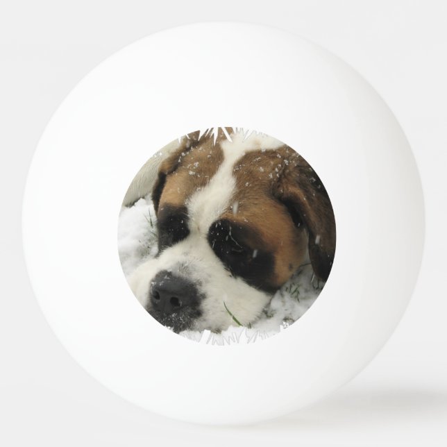 Balle De Ping Pong Chien de St Bernard (Devant)
