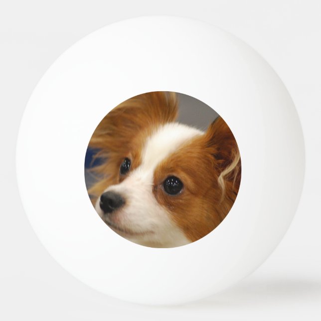 Balle De Ping Pong Chien mignon de Papillon (Devant)