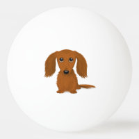 Chien mignon rouge aux cheveux longs de bande
