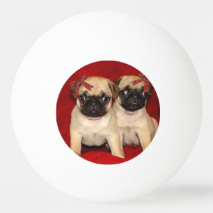 Balle De Ping Pong Chiots de carlin de Noël
