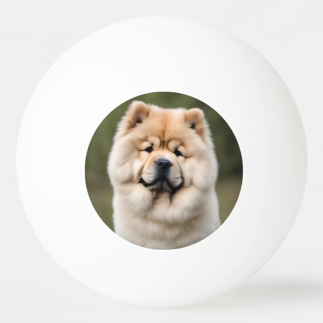 Balle De Ping Pong Chow Chow (Devant)
