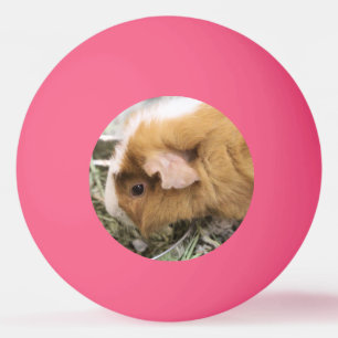 Balle De Ping Pong Clip Casquette de golf Piggy