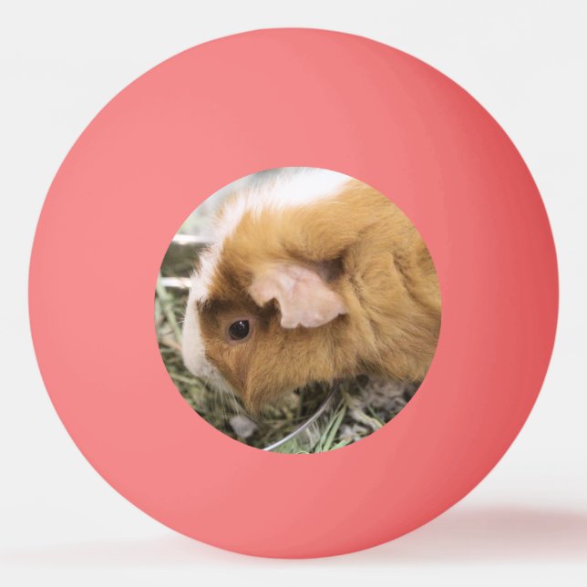 Balle De Ping Pong Clip Casquette de golf Piggy (Devant)