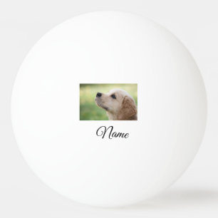Balle De Ping Pong Colorful animal add name photo custom throw