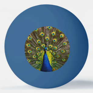 Balle De Ping Pong Colorful peacock