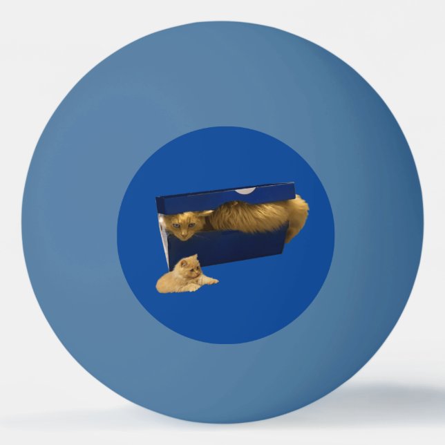 Balle De Ping Pong "Cosy Hideaway : The Ginger Cat in the Shoe Box" (Devant)