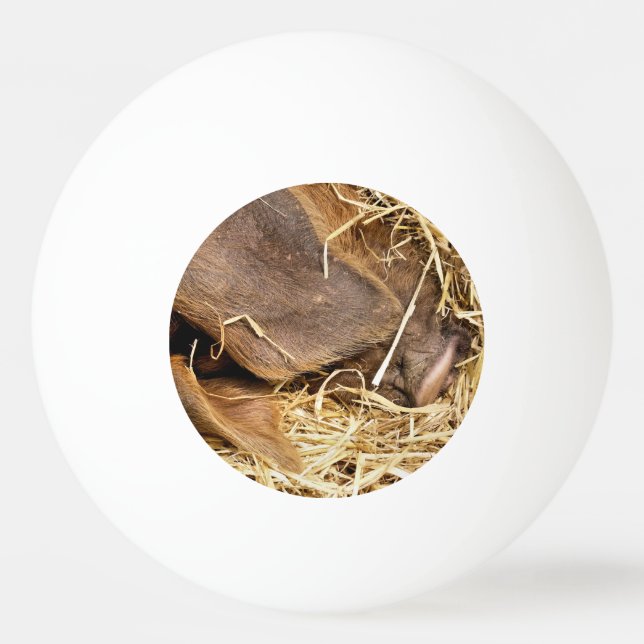 BALLE DE PING PONG COUPER (Devant)