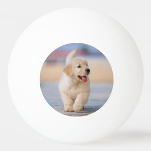 Balle De Ping Pong Créez votre propre animal de compagnie personnalis