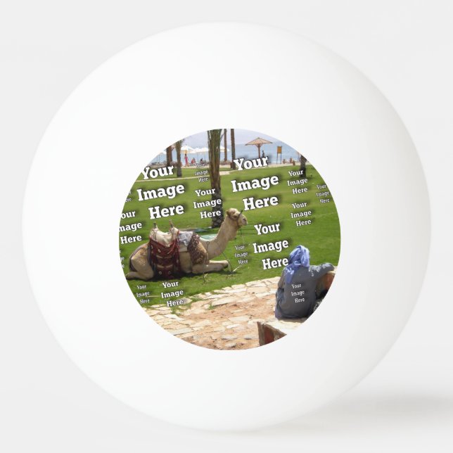 Balle De Ping Pong 🤍 Créez votre propre Modèle personnalisé (Dos)