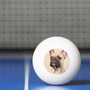 Balle De Ping Pong Créez Votre Propre Photo de Animal de Compagnie Im
