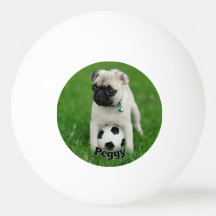 Créez Votre Propre Photo de Chien Personnalisée av