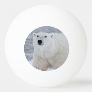 Balle De Ping Pong Créez votre propre photo personnalisée