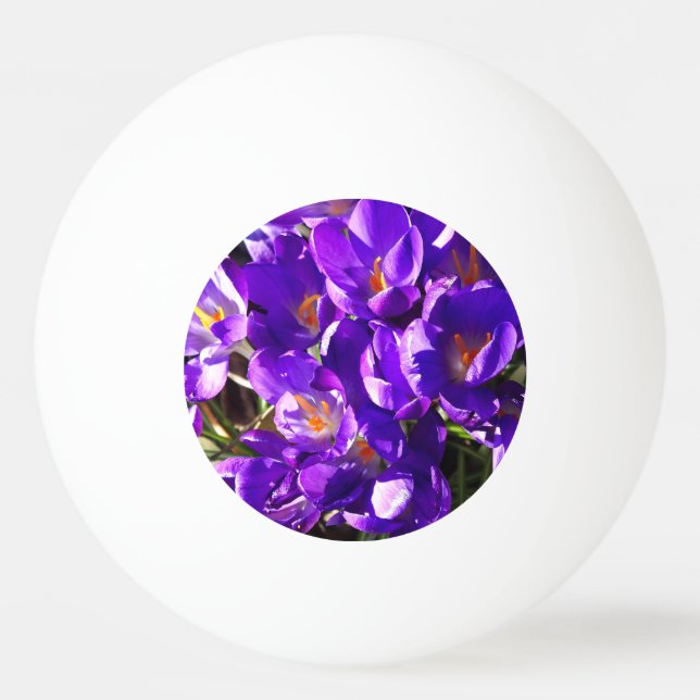 BALLE DE PING PONG CROCUS DE PRINTEMPS (Devant)