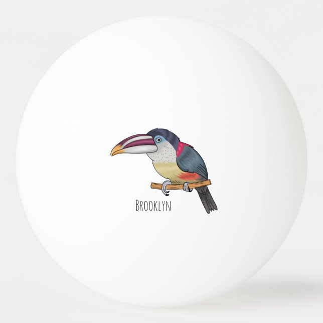 Balle De Ping Pong Curl crested aracari bird cartoon (Devant)