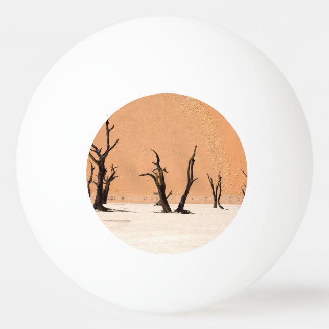 Balle De Ping Pong Dead Vlei, Namibie (Dos)