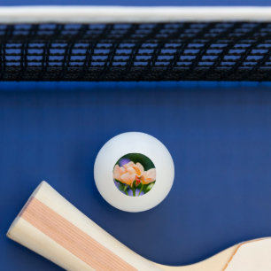 Balle De Ping Pong désir déployé