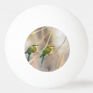 Balle De Ping Pong Deux Abeille-mangeurs