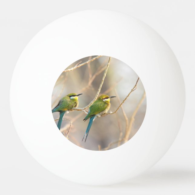 Balle De Ping Pong Deux Bee-eaters (Dos)