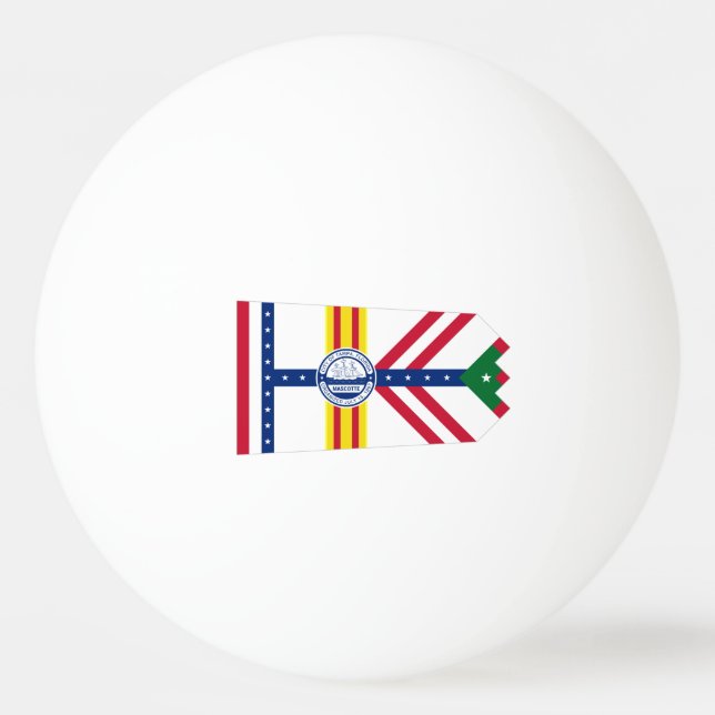 Balle De Ping Pong Drapeau de Tampa, Floride Ping Pong Ball (Devant)