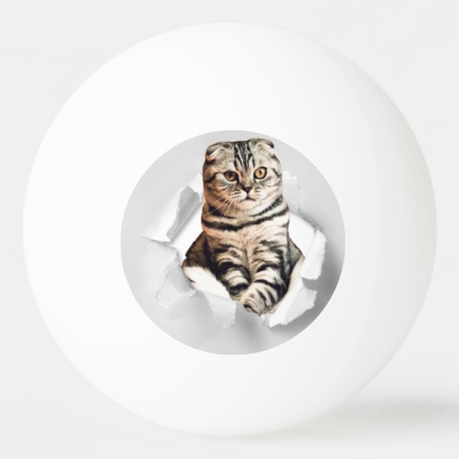 Balle De Ping Pong Drôle Gray Cat Popping à travers l'illusion du pap (Devant)