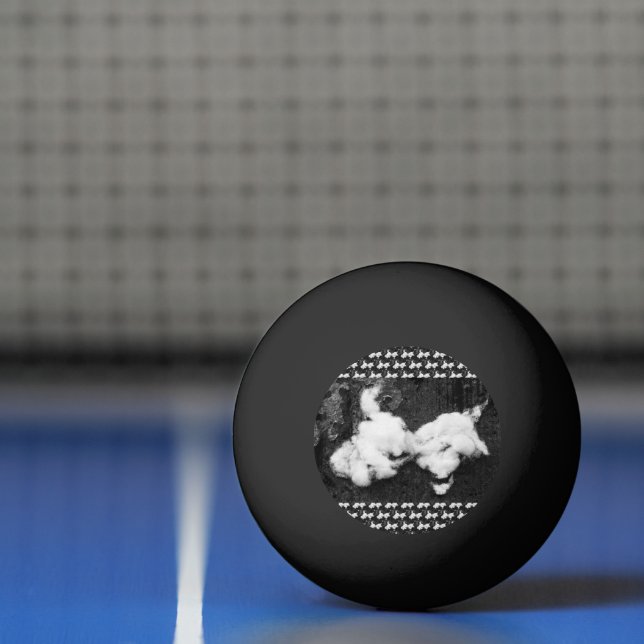 Balle De Ping Pong duveteux (Filet)