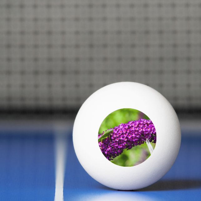Balle De Ping Pong énergie katydone (Filet)
