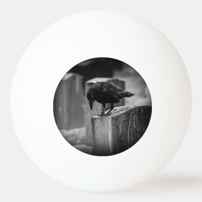 Balle De Ping Pong Falln Cemetery Crow (Devant)