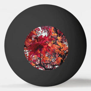 Balle De Ping Pong Feuille rouge et orange