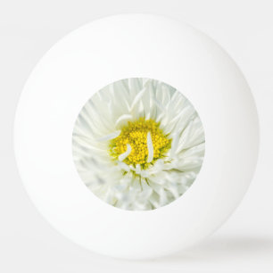 Balle De Ping Pong Fleur de marguerite anglaise blanche