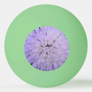 Balle De Ping Pong Fleur violette