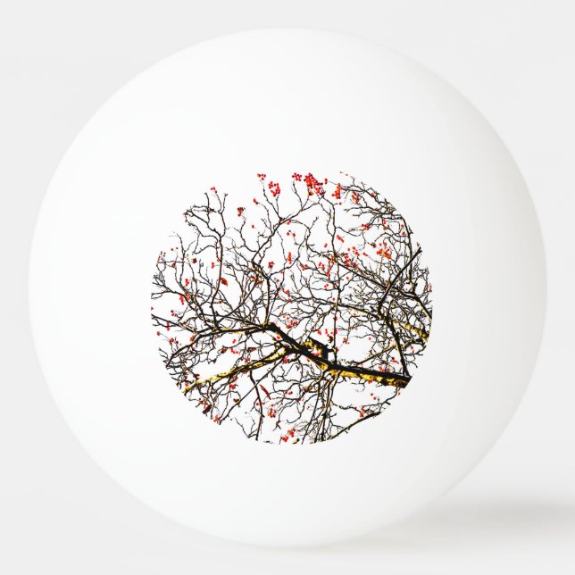 Balle De Ping Pong Fruits rouges ou fraises (Devant)