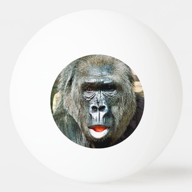 BALLE DE PING PONG GORILLE DRÔLE MIGNON (Devant)