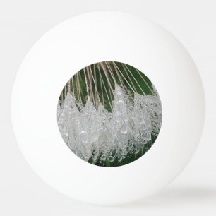 Balle De Ping Pong gouttelettes d'eau