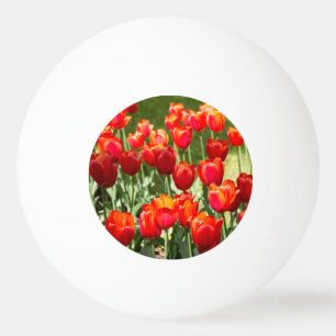 Balle De Ping Pong Grand champ de tulipes rouges