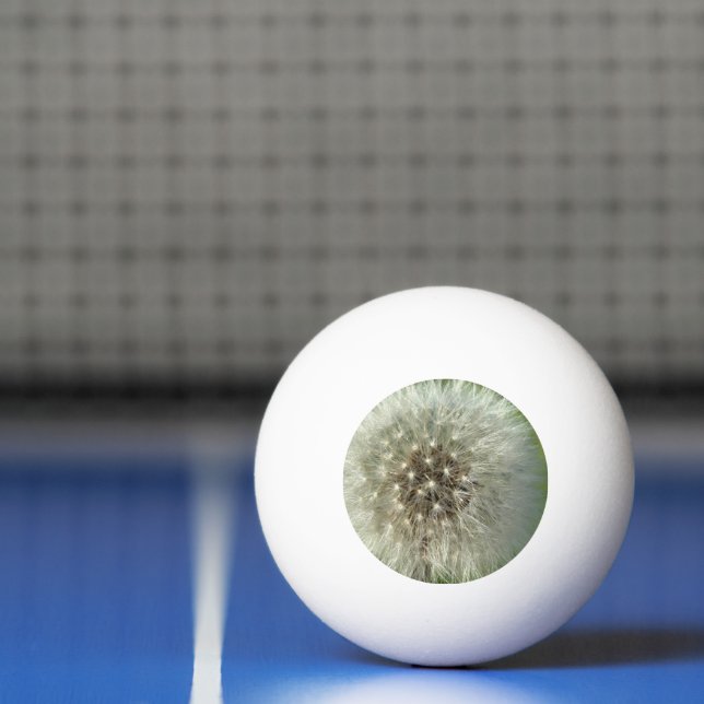 Balle De Ping Pong Grand Pissenlit Blanc (Filet)