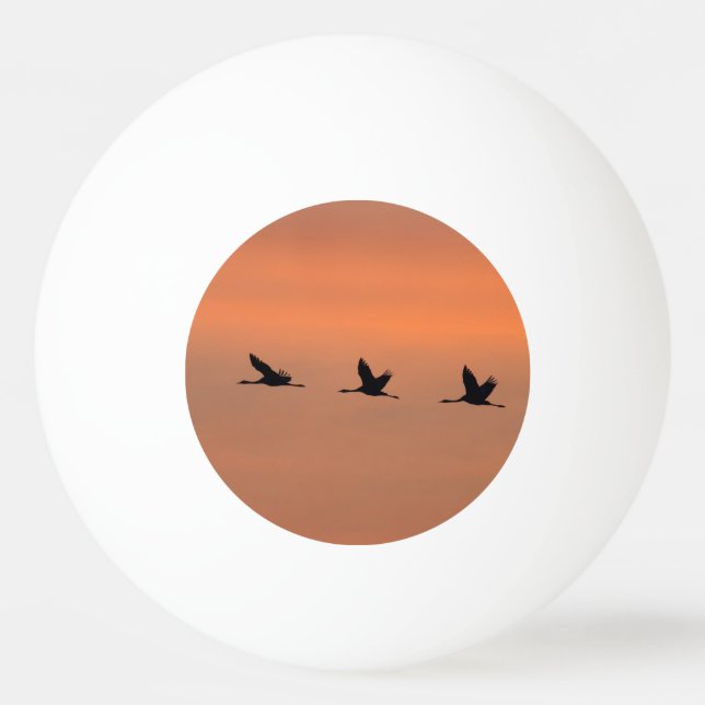 Balle De Ping Pong Grues au lever du soleil (Dos)