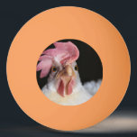 Balle De Ping Pong Hen<br><div class="desc">whitr leghorn</div>