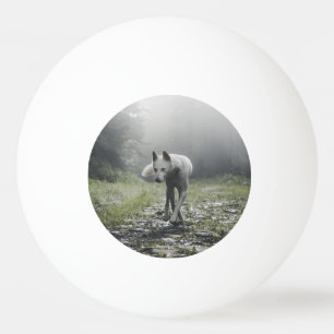 Balle De Ping Pong Husky Sibérien Blanc