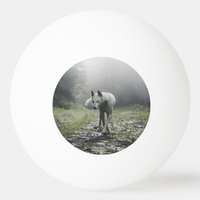 Balle De Ping Pong Husky Sibérien Blanc (Devant)