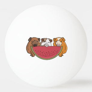 Balle De Ping Pong Illustration des Cochons de Guinée et de la pastèq