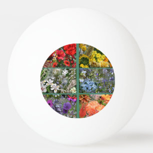 Balle De Ping Pong Jardin de fleurs aux couleurs arc-en-ciel