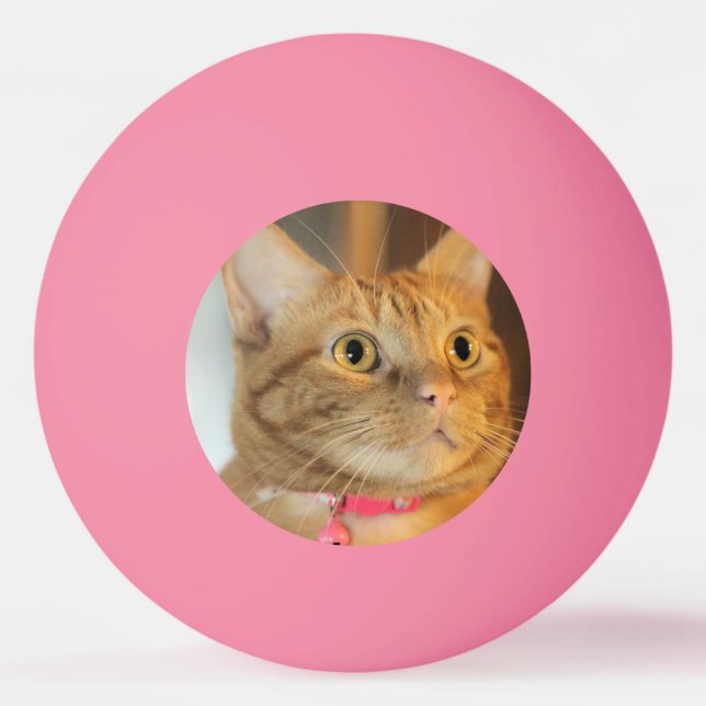 Balle De Ping Pong Joli Penny (Devant)