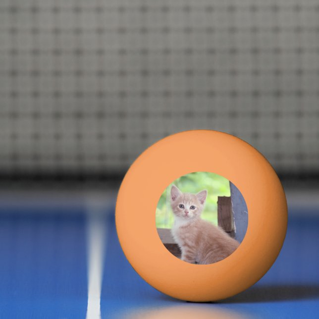 Balle De Ping Pong Kitten (Filet)
