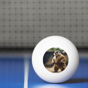 Balle De Ping Pong La Puissante Meerkat : La Fusillade Du Sumo,